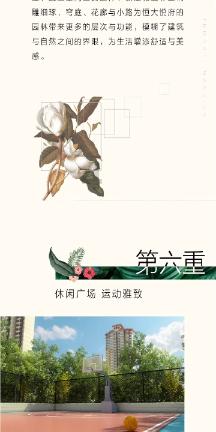 春雨直播app