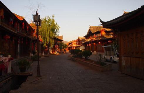 泡沫森林